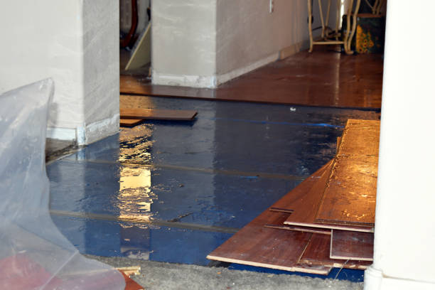 Professional Sewage Cleanup technician working in Albion, MI